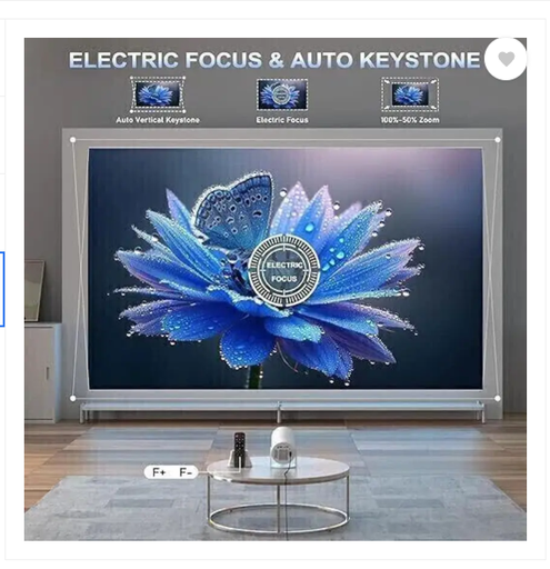 Wrld Designer Led Cover for 49 inch 49 inch LED/LCD TV - GF_LED49/P021_KK448  (Multicolor)